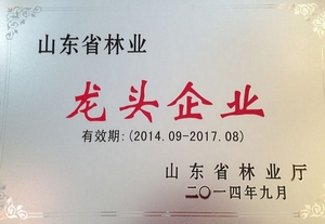 主题：山东省林业龙头企业 日期：2015-01-08