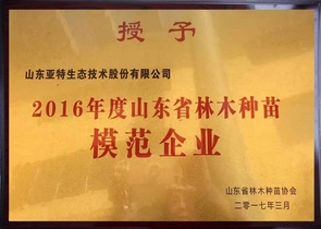 主题：山东省林木种苗模范企业 日期：2017-03-13